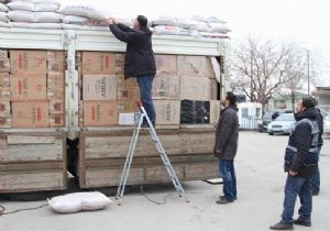 250 bin paket kaçak sigara yakalandı